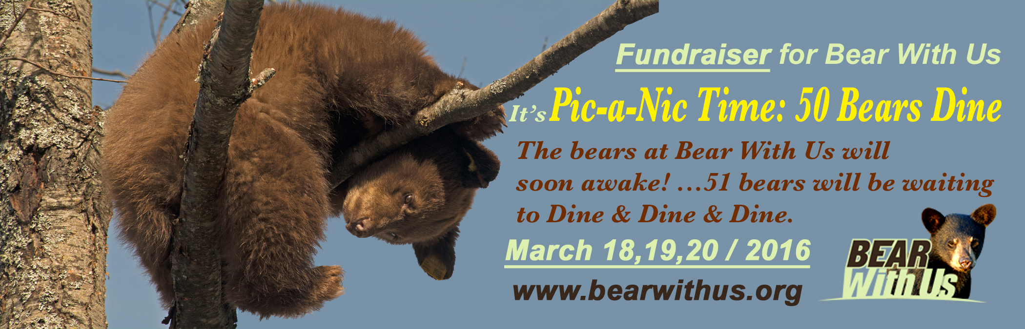 stuff a bear fundraiser