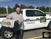 Bear cub arrival, thanks Matt,June9,2019,IMG_7762