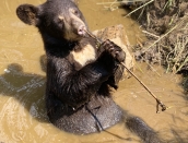 cub,Blinkey,Aug2,2019,Ella,IMG_7994