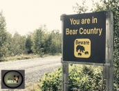 sign, You are in Bear Country