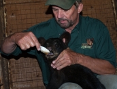 Benny-cub,-July-16-2014,web,DSC_0072