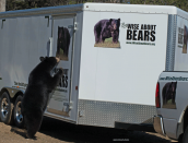 bear-inspection,b,web,May-6-2014,D804494